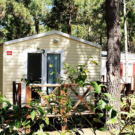 Orbitur Sitava Milfontes Bungalows - Caravan Park オデミラ エクステリア 写真